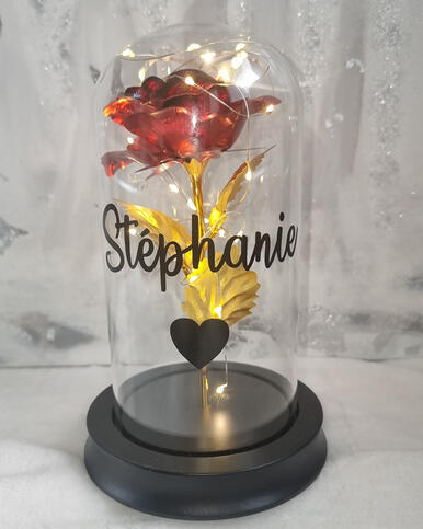 Rose sous cloche - 15 €